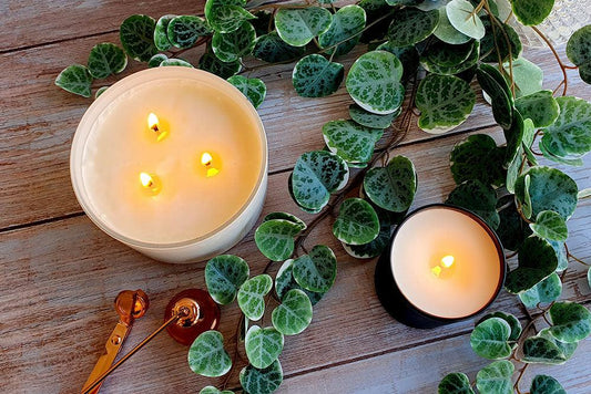 How to Choose the Correct Wick for Your Candle - Craftovator