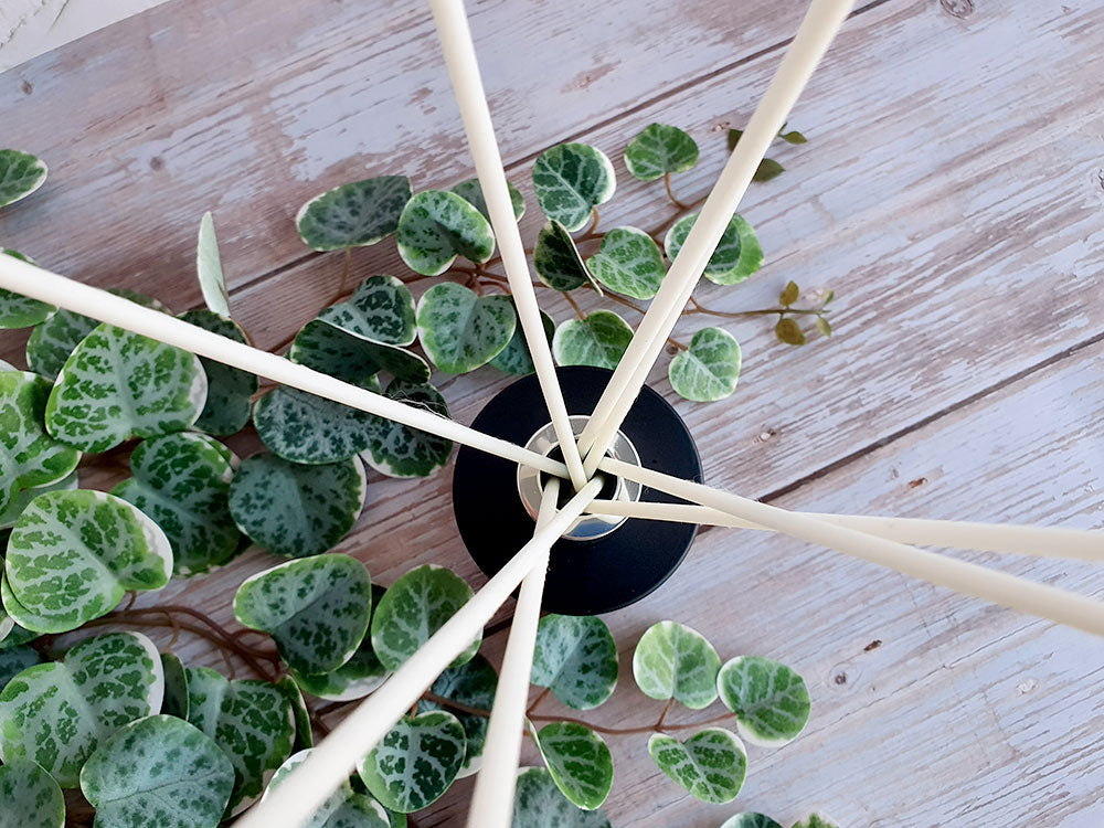 How to Make Reed Diffusers Using Augeo Base in 4 Simple Steps Craftovator Studio