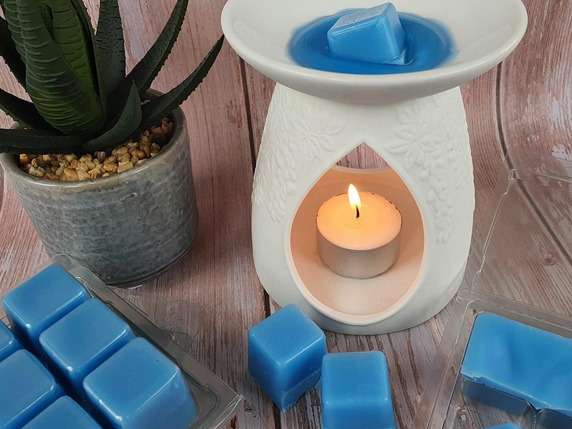 Recipie for Making Wax Melts in Clamshells For Beginners Craftovator Studio