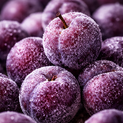 Golden Iced Sugar Plums Fragrance Oil