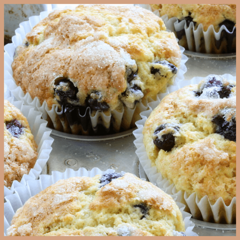Blueberry Muffin Fragrance Oil - Craftovator
