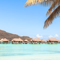 Bora Bora Fragrance Oil
