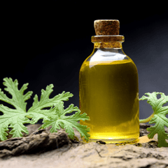 Citronella Java Essential Oil - Craftovator