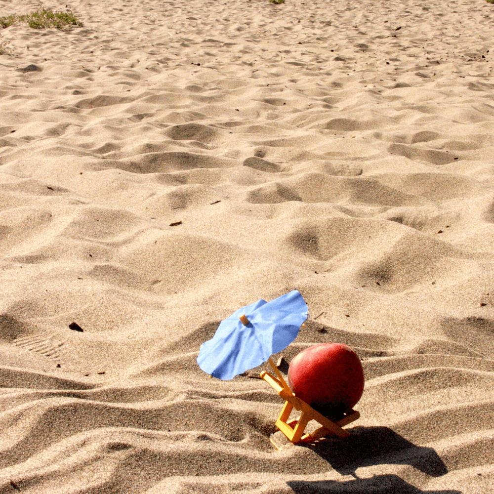 FloZora Paradise Peach Fragrance Oil - Craftovator