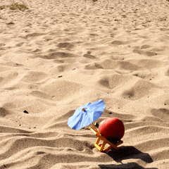 FloZora Paradise Peach Fragrance Oil - Craftovator