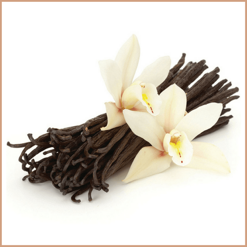 French Vanilla Fragrance Oil - Craftovator