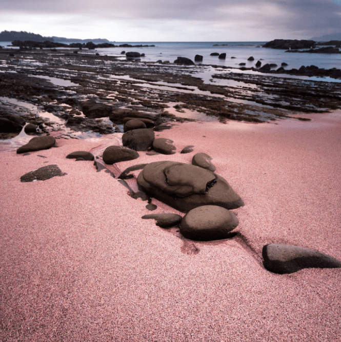 Pinky Sands Fragrance Oil (Diffuser-Friendly) - Craftovator