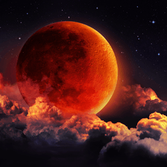 Red Moon Fragrance Oil - Craftovator