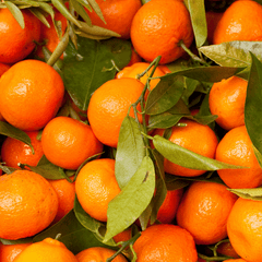 Satsuma Fragrance Oil - Craftovator