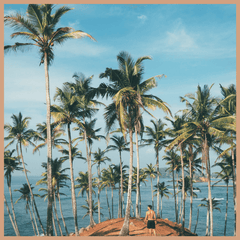 So Cal Fragrance Oil - Craftovator