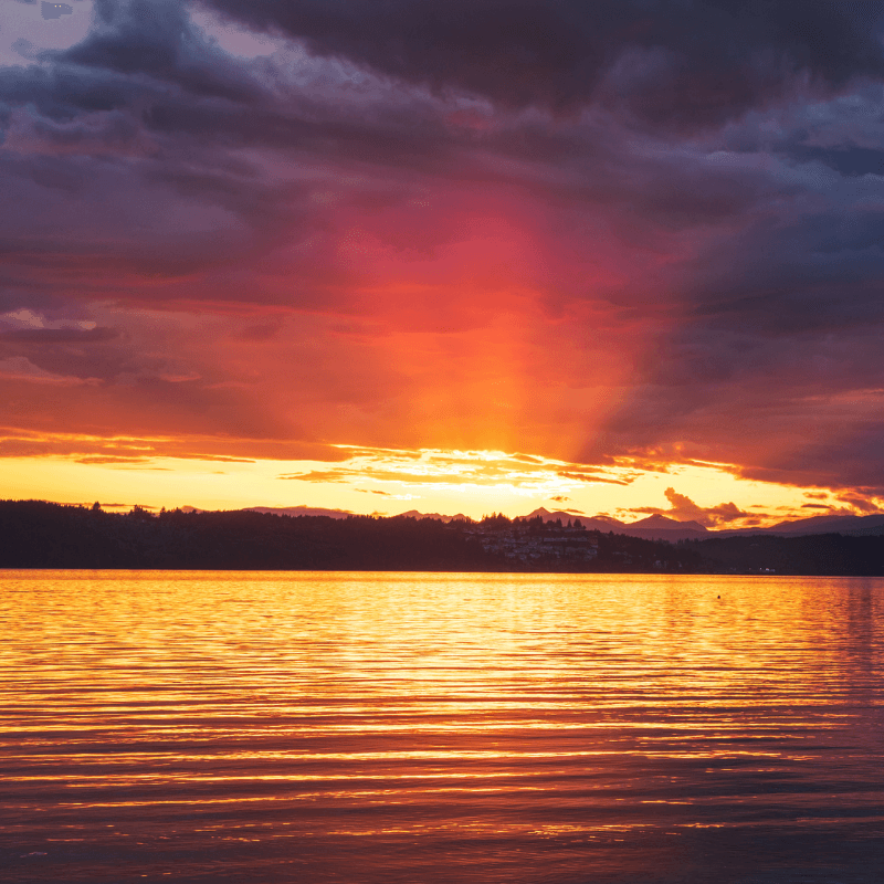 Sunshine Burst Fragrance Oil - Craftovator