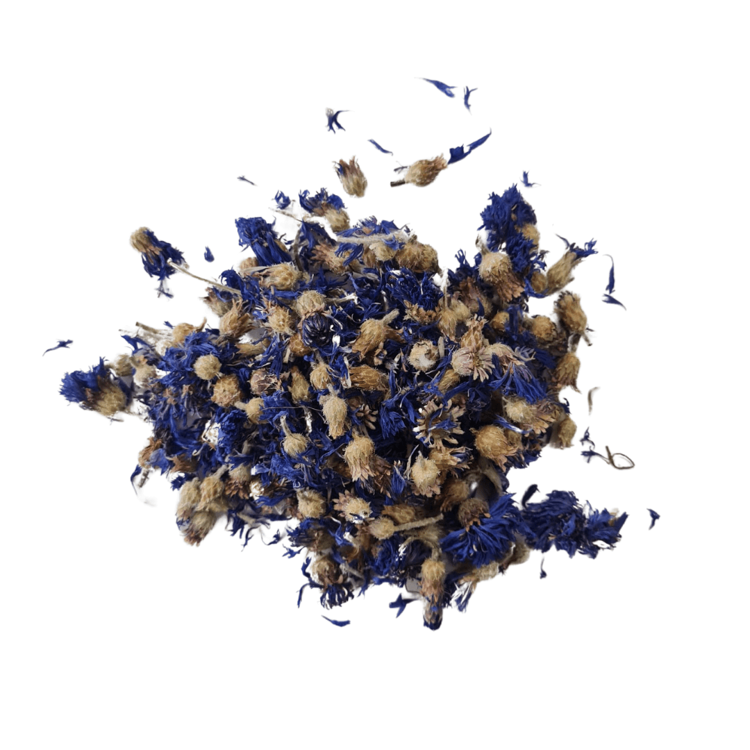 Blue Cornflower Petals - Craftovator