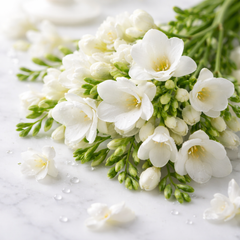 White Freesia Fragrance Oil