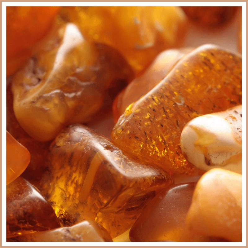 Amber Fragrance Oil - Craftovator