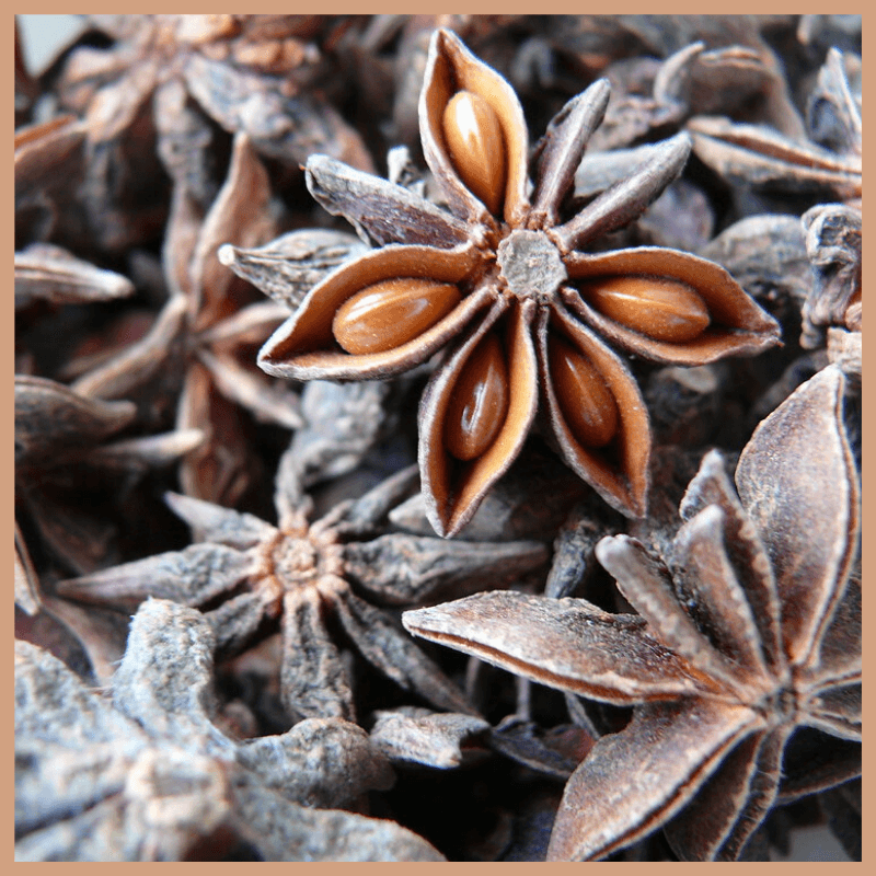 Aniseed Fragrance Oil - Craftovator