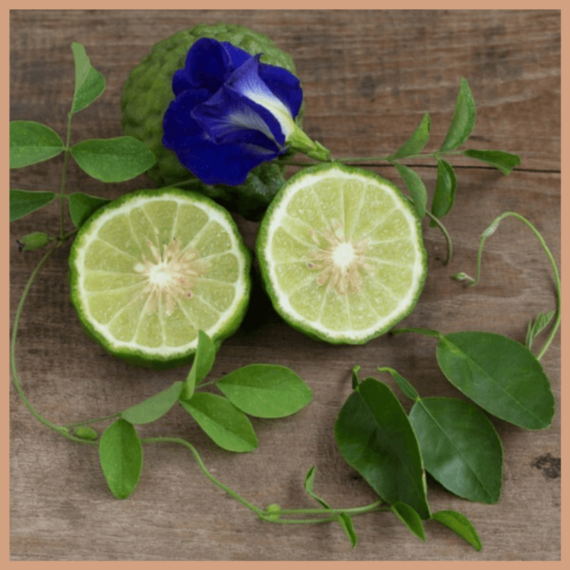 Bergamot & Patchouli Fragrance Oil - Craftovator