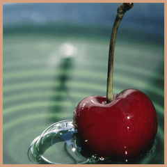 Cherry Slushie Fragrance Oil - Craftovator