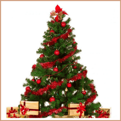 Christmas Tree Fragrance Oil - Craftovator