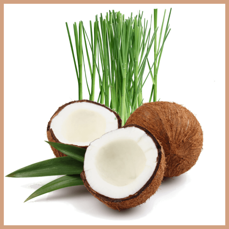 Coconut & Lemongrass Fragrance Oil - Craftovator