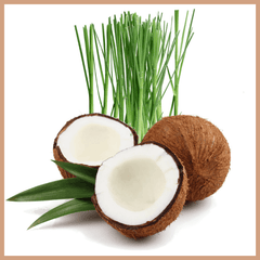 Coconut & Lemongrass Fragrance Oil - Craftovator