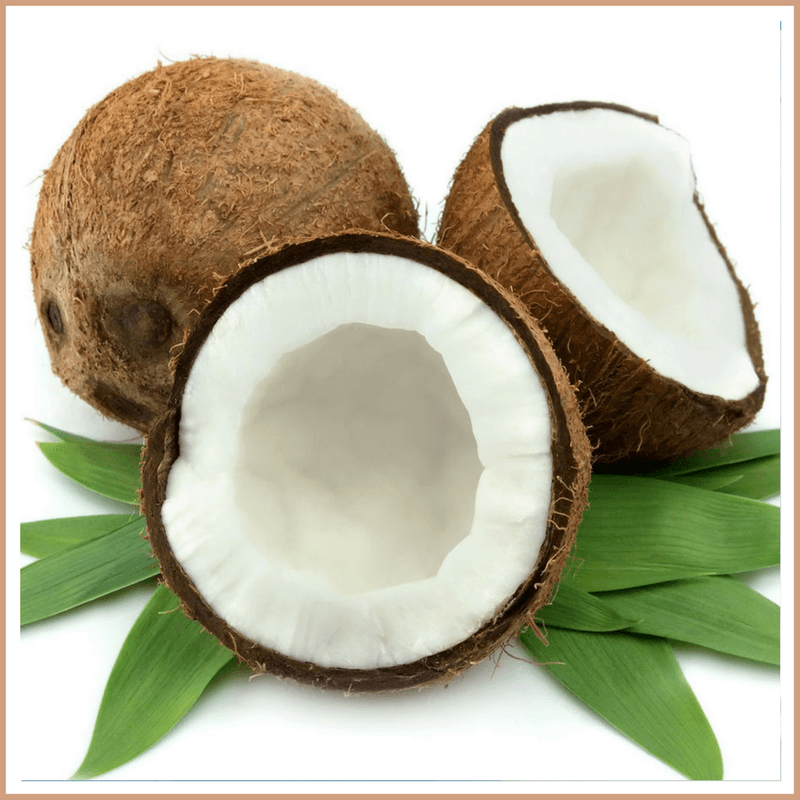 Coconut Fragrance Oil - Craftovator