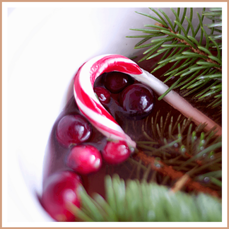 Cranberry Peppermint Fragrance Oil - Craftovator