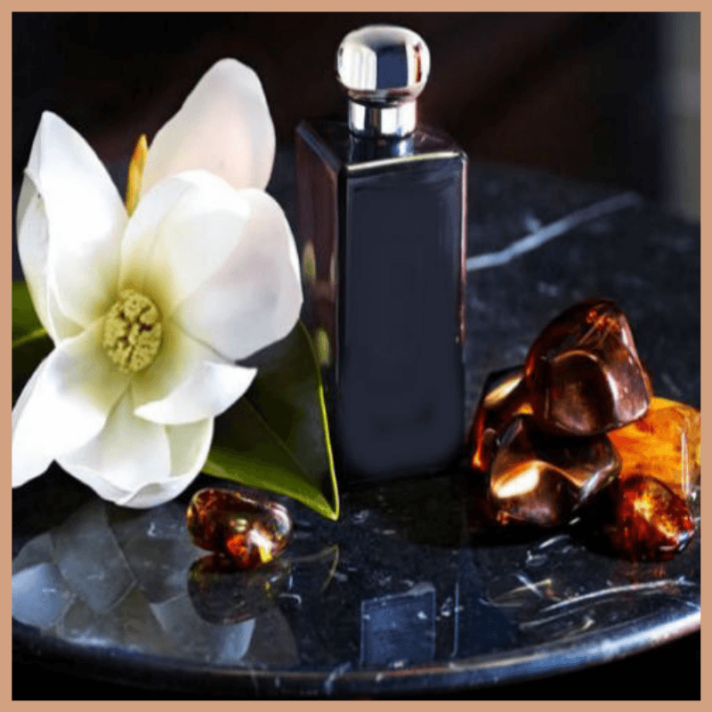 Dark Amber & Ginger Lily Fragrance Oil - Craftovator