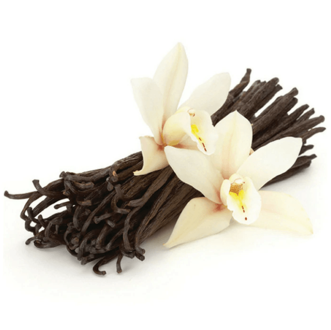 French Vanilla Fragrance Oil (Diffuser-Friendly) - Craftovator