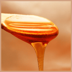 Golden Honey & Milk Fragrance Oil - Craftovator