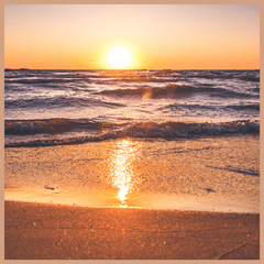 Italian Coast Fragrance Oil - Craftovator