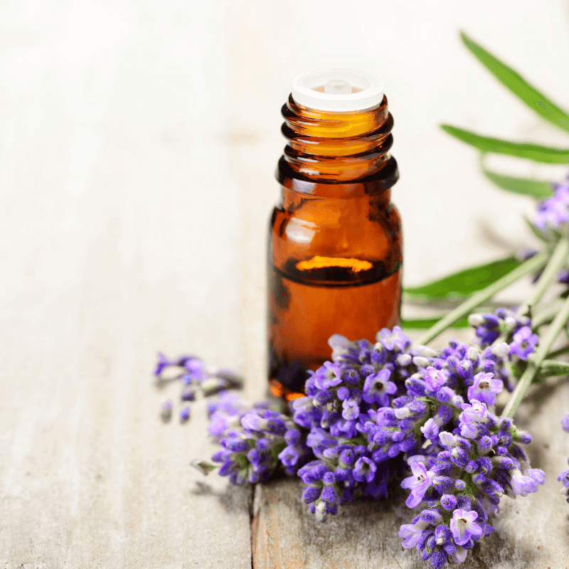 Lavender Essential Oil - Craftovator