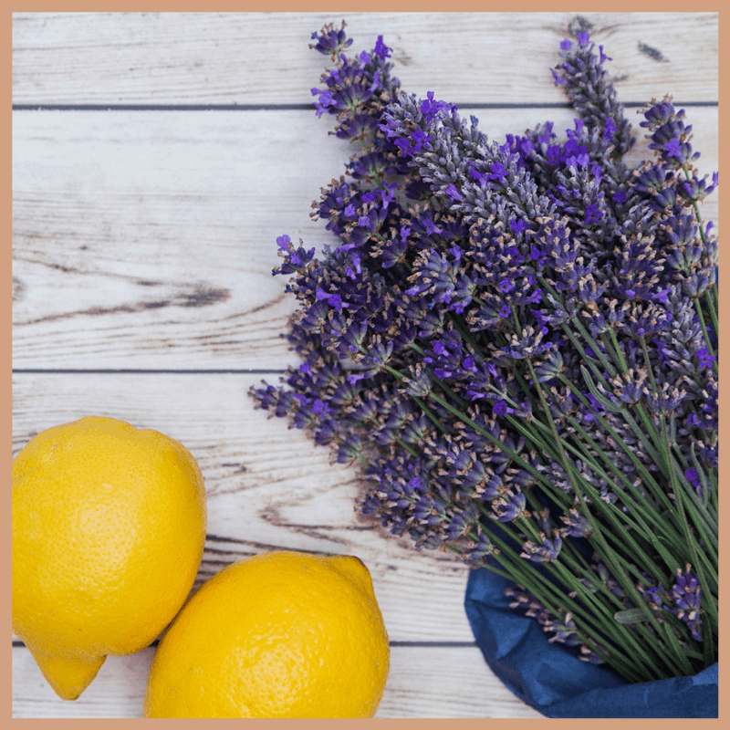 Lemon & Lavender Fragrance Oil - Craftovator
