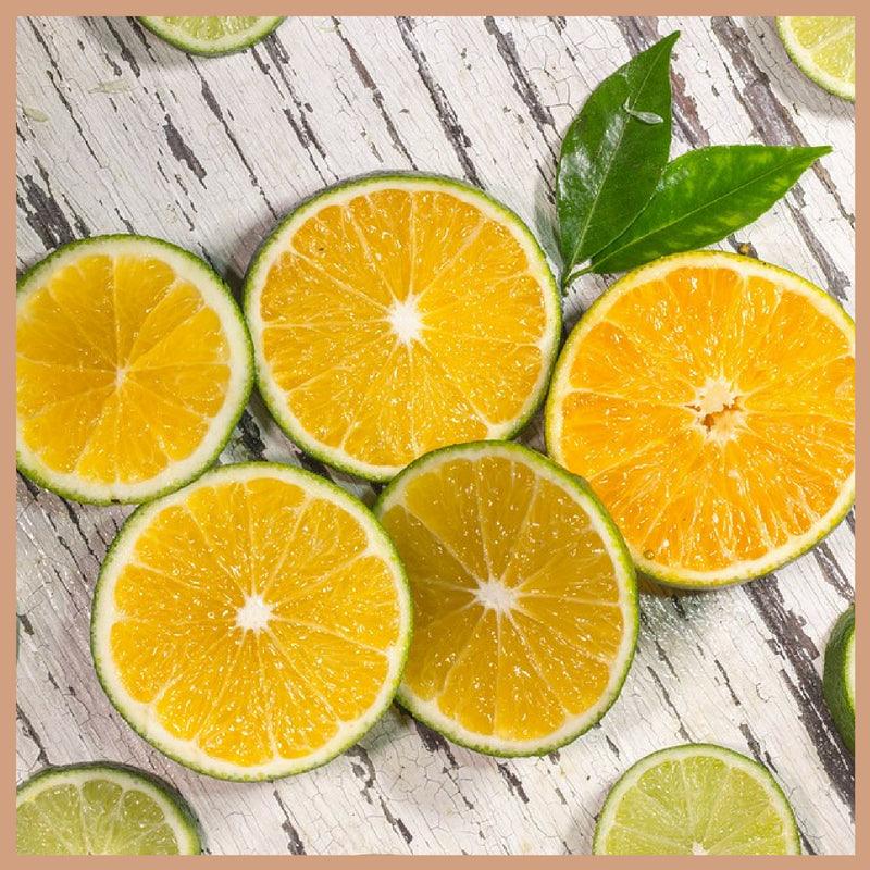 Lime Basil & Mandarin Fragrance Oil - Craftovator