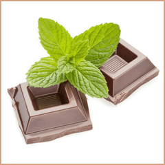 Mint Chocolate Fragrance Oil - Craftovator