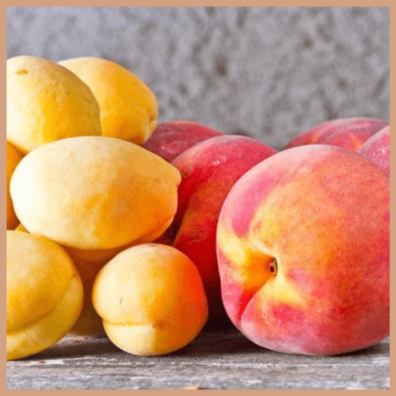 Nectarine & Lemon Blossom Fragrance Oil - Craftovator