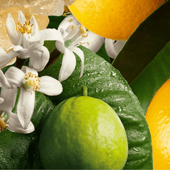 Orange & Bergamot Fragrance Oil - Craftovator