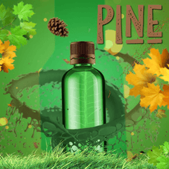 Pine Fragrance Oil (Diffuser-Friendly) - Craftovator