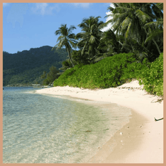 Seychelles Fragrance Oil - Craftovator