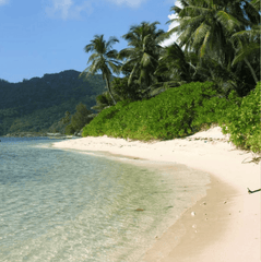 Seychelles Fragrance Oil (Diffuser-Friendly) - Craftovator