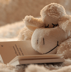 Snuggle Fragrance Oil (Diffuser-Friendly) - Craftovator