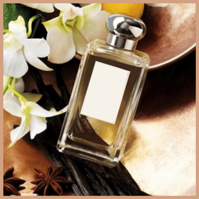 Vanilla & Anise Fragrance Oil - Craftovator