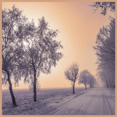 Winter Fragrance Oil - Craftovator